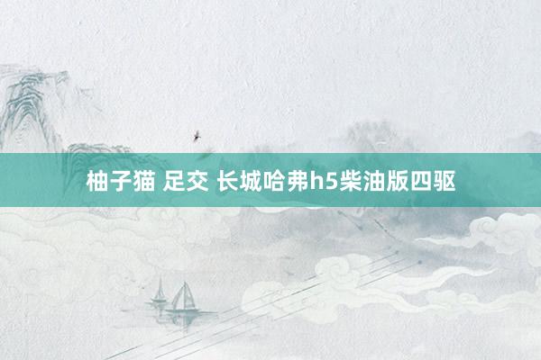 柚子猫 足交 长城哈弗h5柴油版四驱
