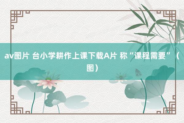 av图片 台小学耕作上课下载A片 称“课程需要”（图）